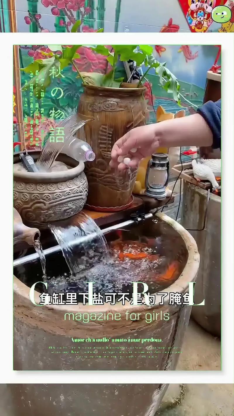 鱼缸里放盐粒被鱼吃了?鱼缸下盐被鱼吃了