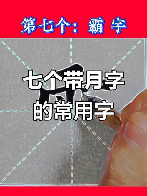 月字旁的字与什么有关系啊?月字旁的字大多都跟什么有关?