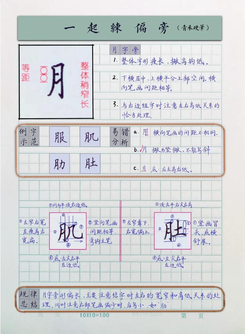 月字旁的字与什么有关系啊?月字旁的字大多都跟什么有关?