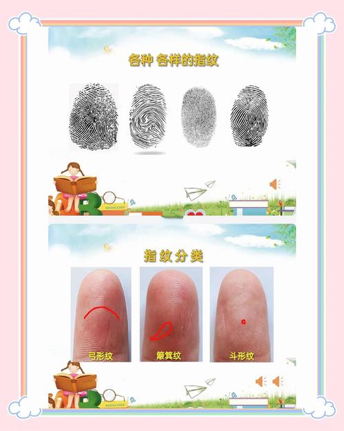 为什么每个人的指纹都不一样用一句简短的话说?为什么人们的指纹不一样