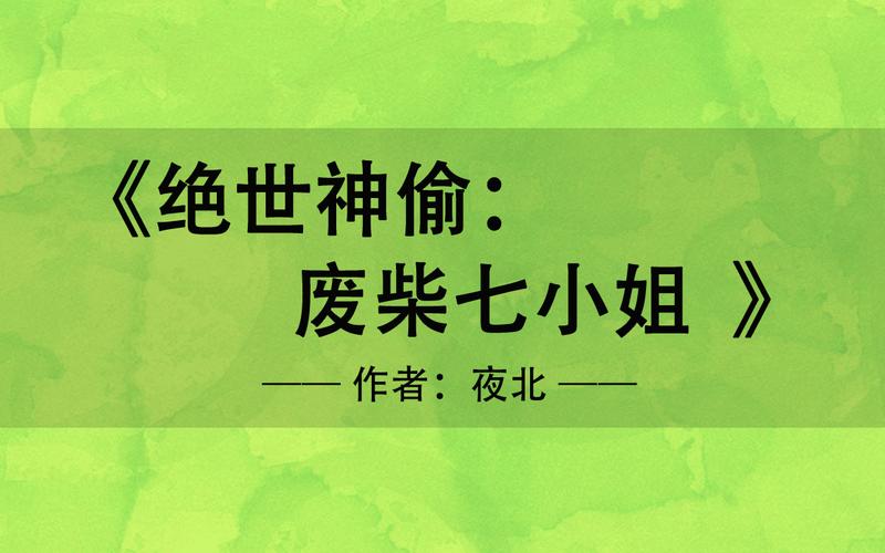 绝世神偷废柴七***讲了些啥？绝世神偷废柴七***主角配角