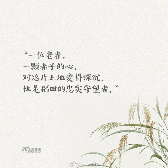 评价袁隆平的经典短句?评价袁隆平的一句话