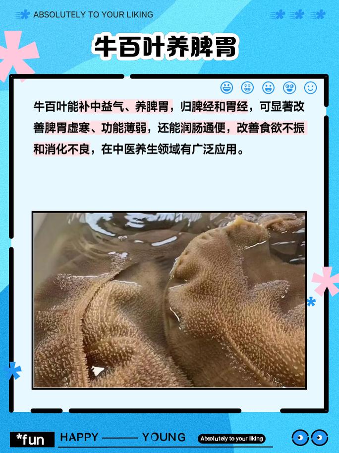 牛百叶煮多久才熟怎么处理咬的动？牛百叶煮多久就可以吃了