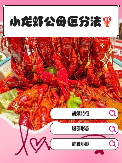 如何辨别小龙虾性成熟？怎么分辨小龙虾的好坏