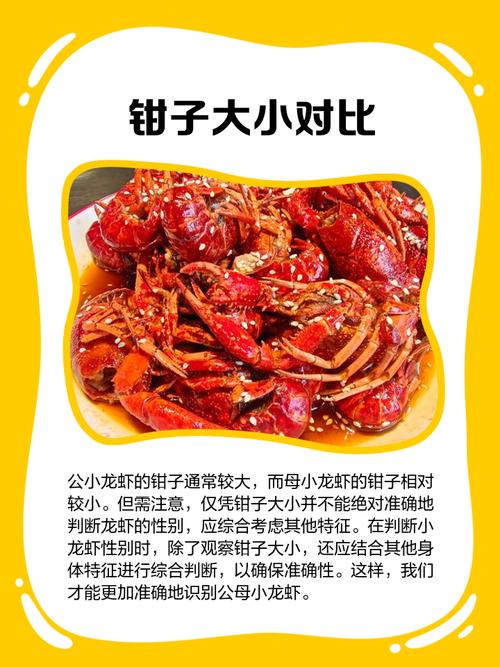 如何辨别小龙虾性成熟?怎么分辨小龙虾的好坏