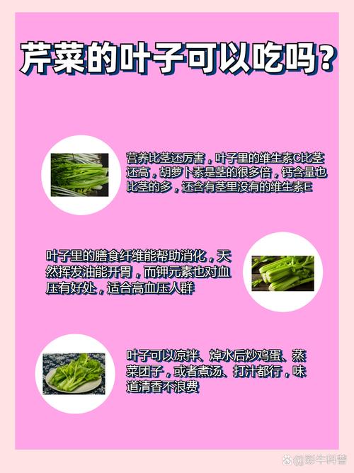 芹菜叶有什么营养成分？芹菜叶营养价值高吗