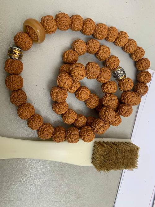 金刚菩提有核仁吗？金刚菩提子是核桃吗