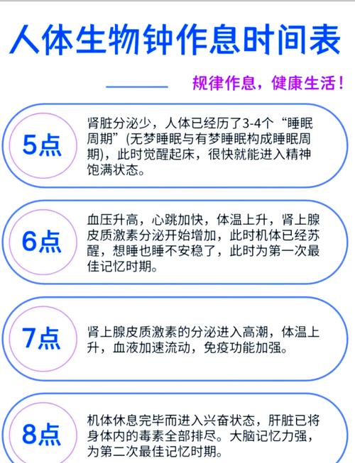 生物钟的人的重要性百科?生物钟给你带来了什么启示,人们利用它做什么呢?