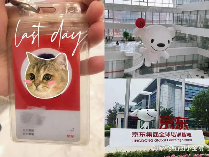 京东plus会员券怎么用？京东plus会员优惠券怎么领取