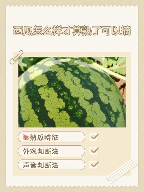 如何判断西瓜成熟与否？如何确定西瓜是否成熟
