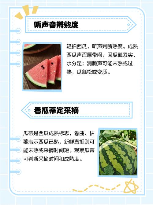 如何判断西瓜成熟与否?如何确定西瓜是否成熟