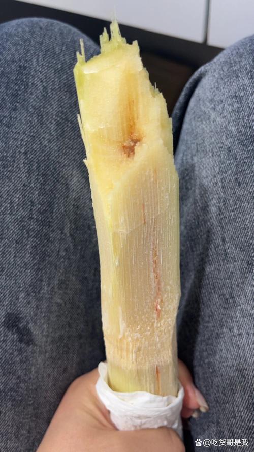 甘蔗发红切掉可以吃吗?甘蔗变红砍掉后能吃吗