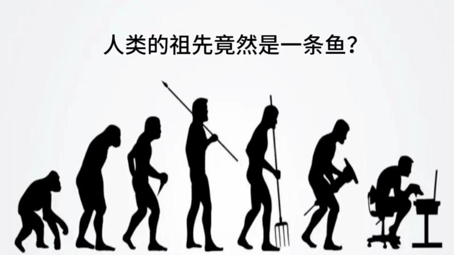 人的社会化的生物基础包括什么?人的社会化指的是从生物人到 的转变