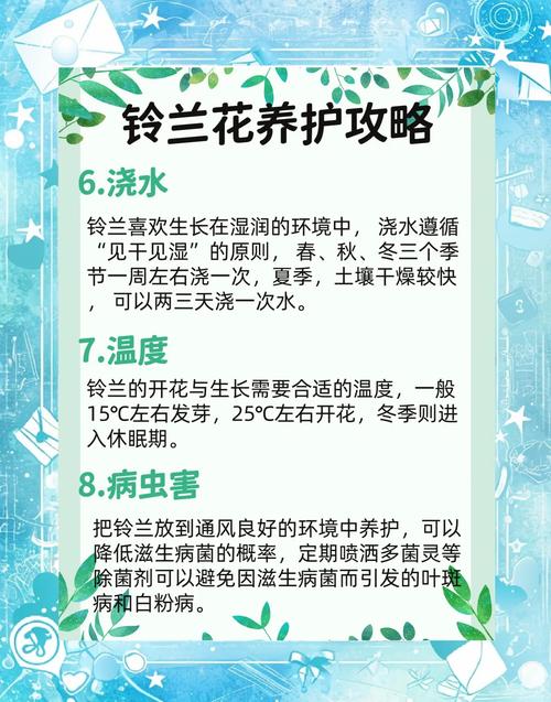 铃兰花的种植方法和注意事项?铃兰花的种植方法和注意事项图片