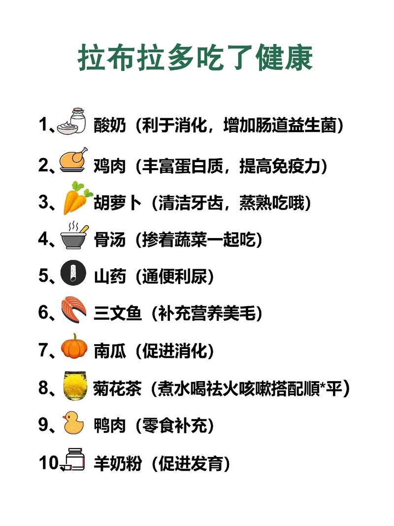 拉布拉多什么东西不能吃？拉布拉多犬不能吃啥