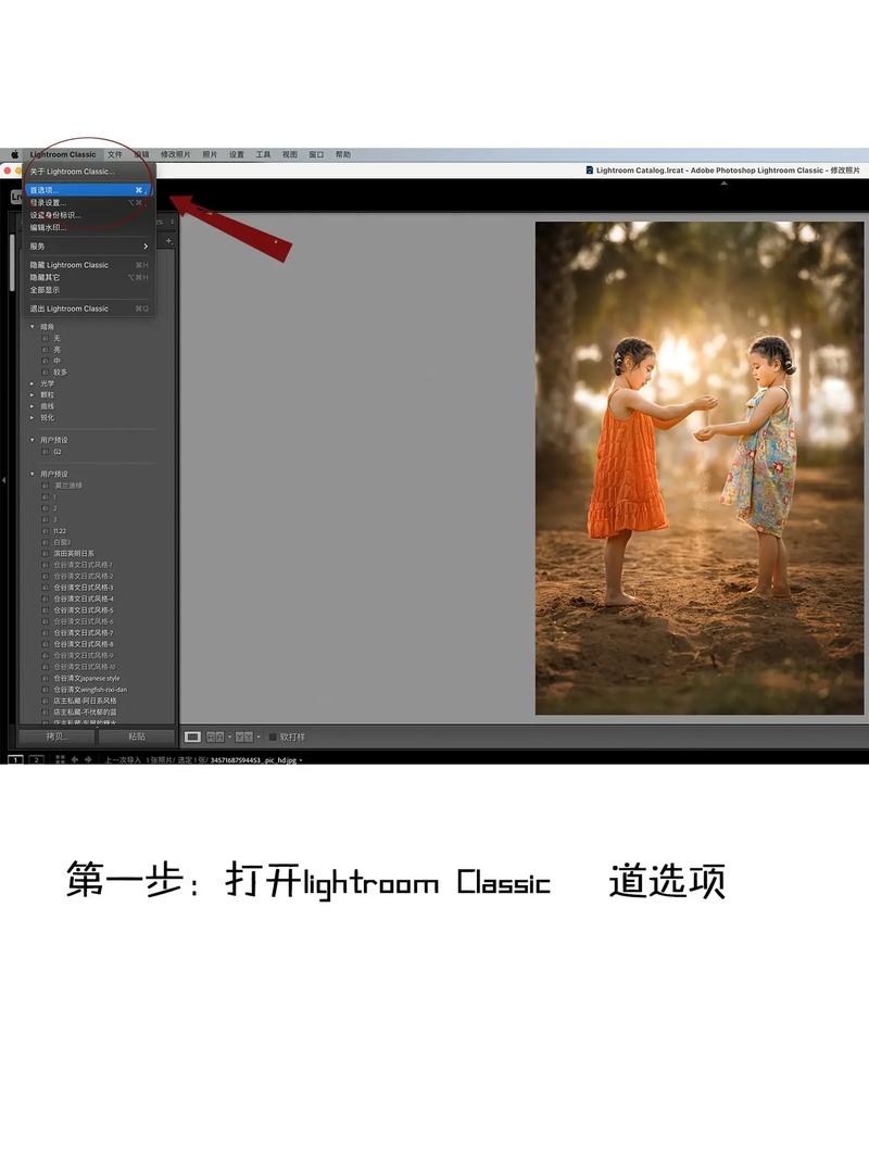 lr怎么只导出一张照片？lr如何全部导出照片