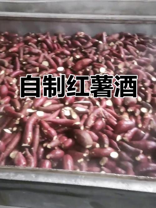 怎样用红薯酿酒呢？自酿红薯酒