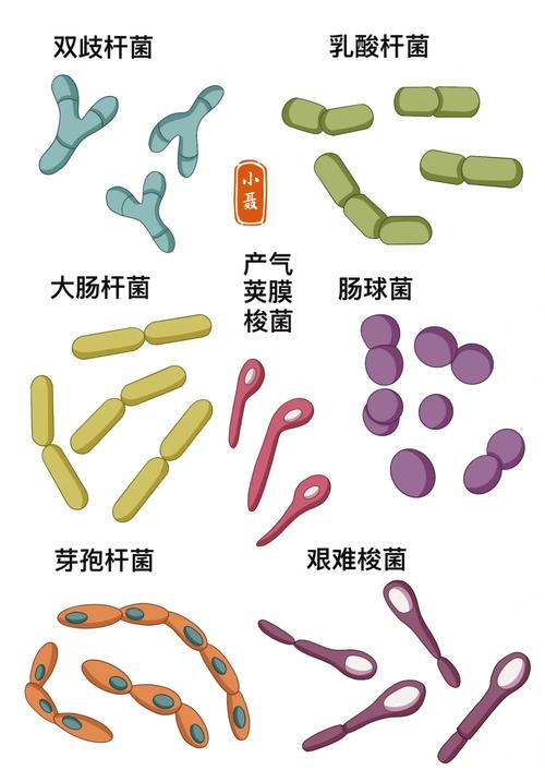 细菌生长繁殖的条件有哪些?细菌生长繁殖的条件有哪些?