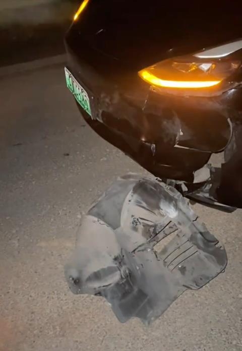 特斯拉撞死闯国道野猪:车主被判全责 行车记录仪视频曝光(图1)