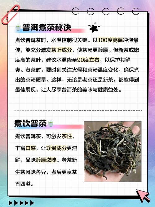 普洱茶煮的好还是泡的好？普洱茶是冲泡好喝还是煮着好喝?