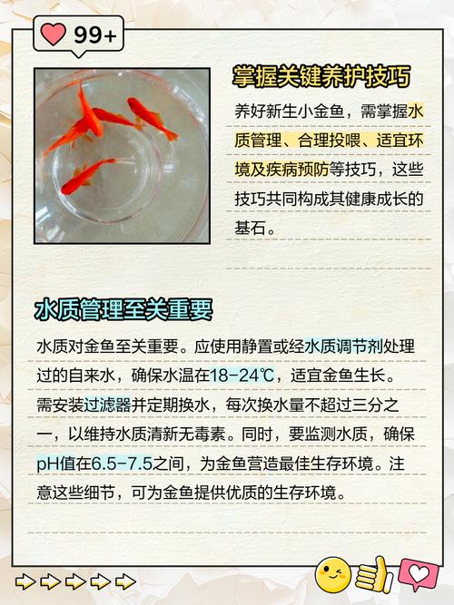 金鱼幼苗要怎么养？金鱼幼苗要怎么养才能长大