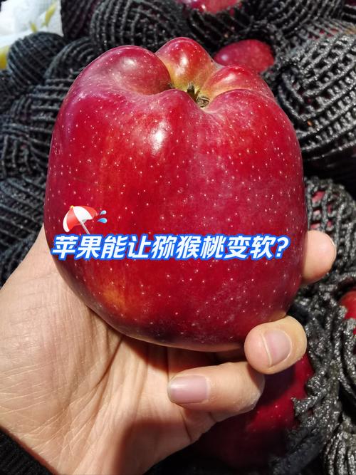 猕猴桃苹果香蕉放一起?猕猴桃苹果香蕉放一起会变甜吗