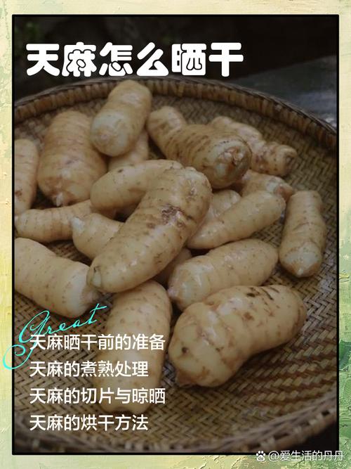 天麻怎样加工熟成品？天麻要怎么加工才能吃