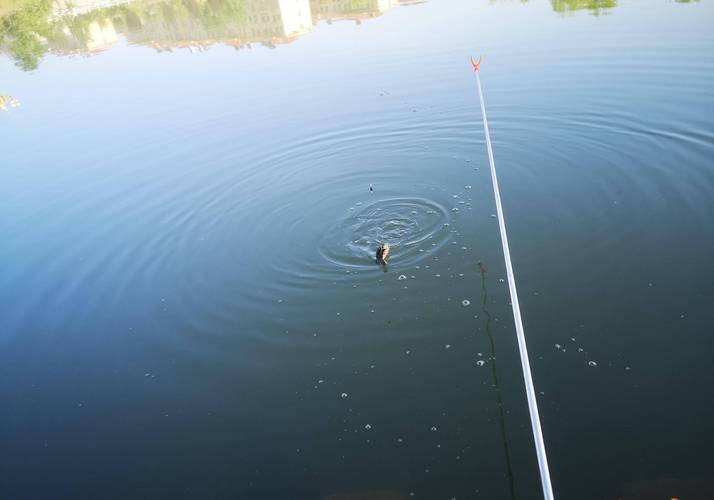 天津哪个水库能野钓？天津能钓鱼的湖