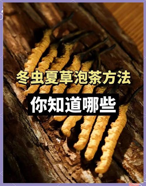 虫草花泡水喝有什么效果?虫草花泡茶有什么功效