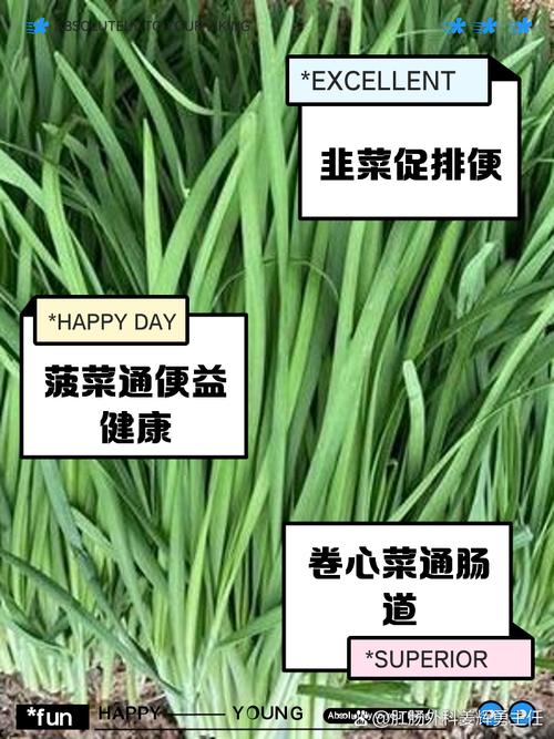 哪些蔬菜比较通便?哪些蔬菜通便最快