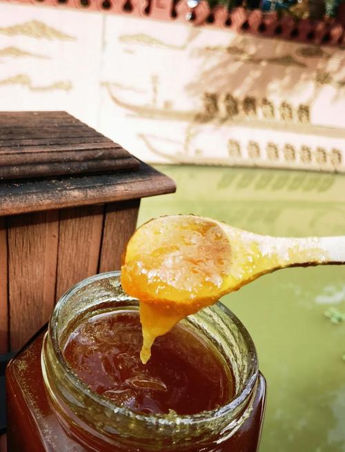 蜂蜜可以促进儿童生长发育吗?蜂蜜对孩子长高有帮助吗