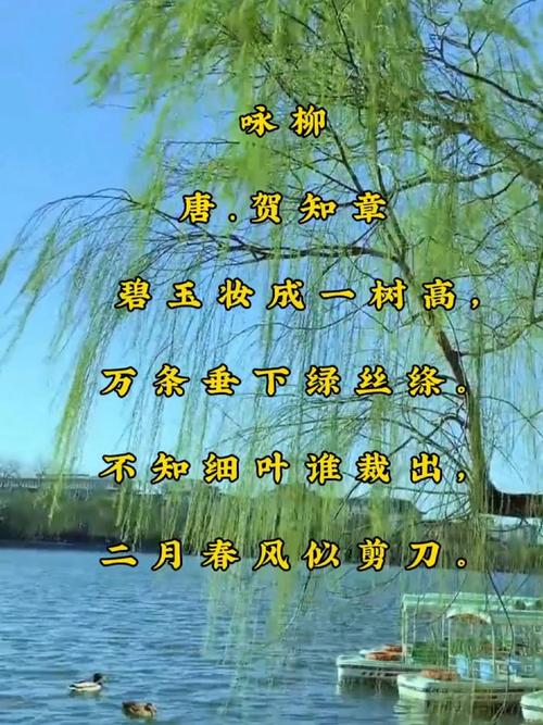 《咏柳》是描写春天的诗句吗对吗?咏柳是描写春天的还是夏天的