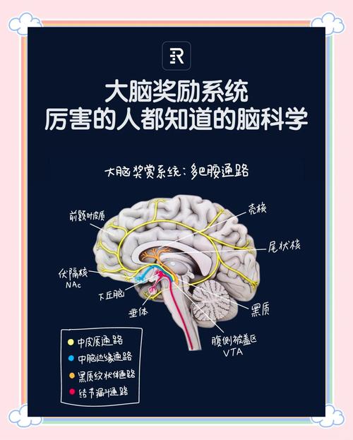 科学用脑是什么意思？科学用脑的一般原则