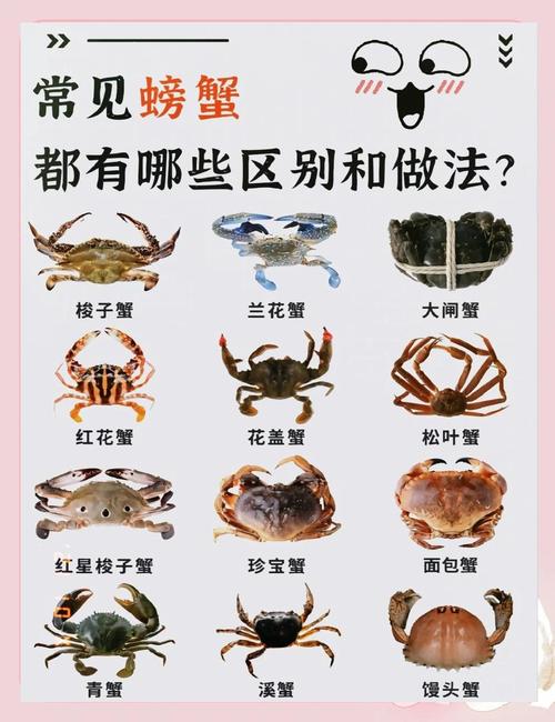 螃蟹怕什么声音或味道？螃蟹怕什么,爱吃什么