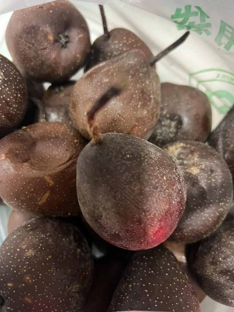 青海的软梨如何储存？青海软梨和东北冻梨