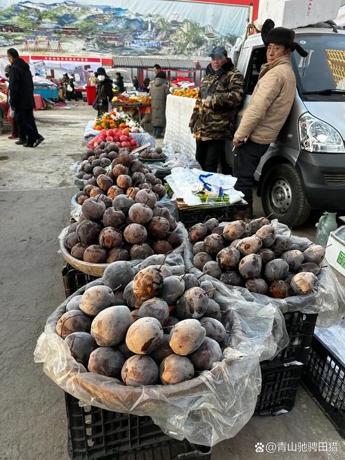 青海的软梨如何储存?青海软梨和东北冻梨