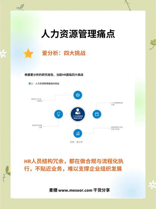 企业中的hr主要做些什么?一个企业的hr需要具备什么素养