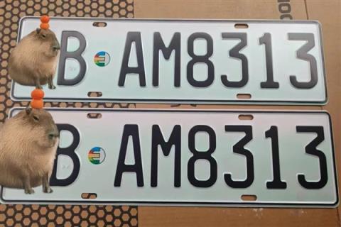 新能源绿牌用“UV灯”照射后能变白牌 网友:帅 但蜀黍不认(图2)