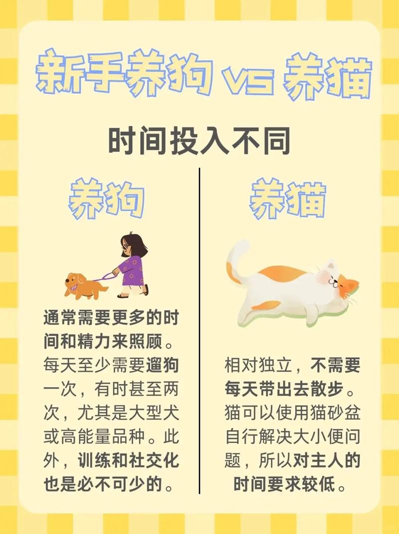 一整天不在家可以养猫吗?一天都不在家适合养狗么