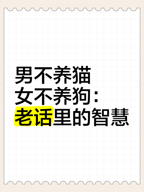 一整天不在家可以养猫吗?一天都不在家适合养狗么