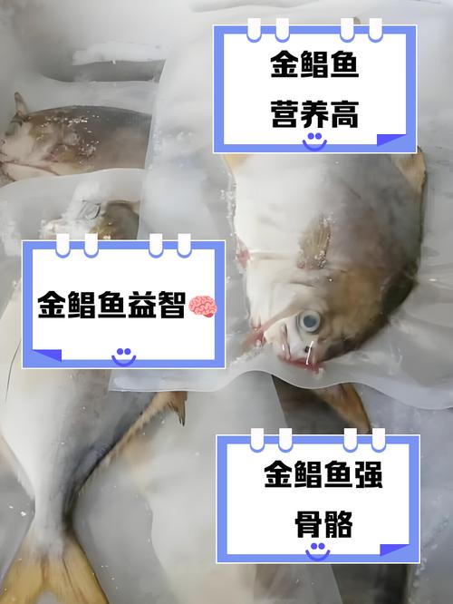 金鲳鱼的营养价值有哪些?？金鲳鱼的营养价值高吗
