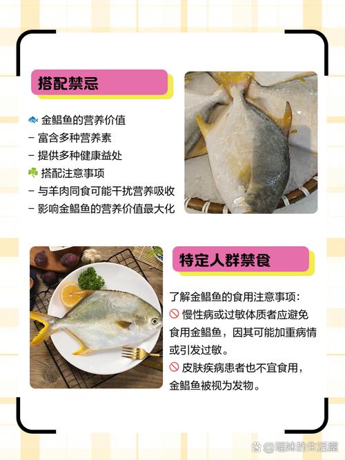 金鲳鱼的营养价值有哪些??金鲳鱼的营养价值高吗