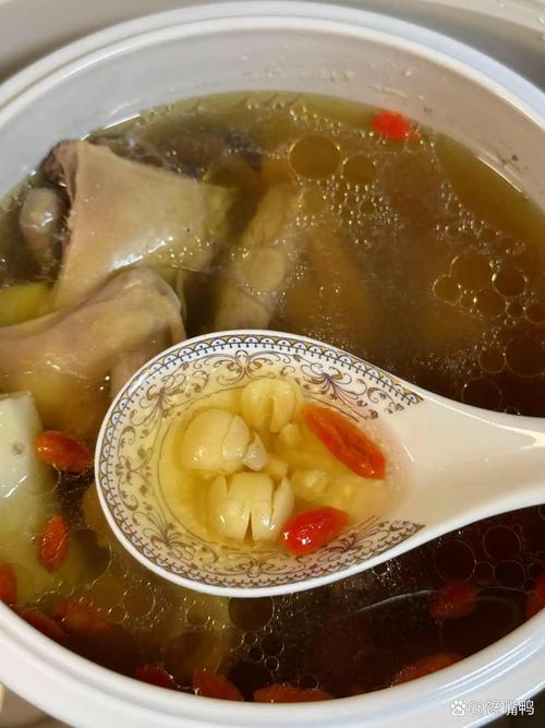 鸽子汤可以放山药吗??山药和鸽子可以煲汤吗