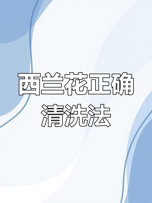 如何清洗西兰花里面的虫干净?西兰花怎么清理出虫子