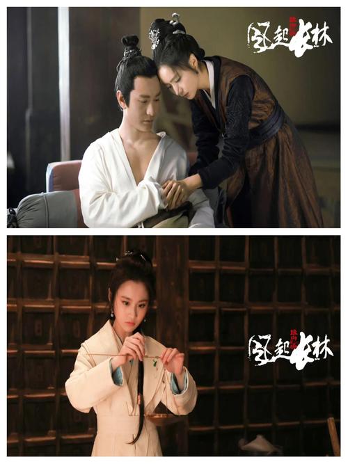 琅琊榜之风起长林是多少年之后？琅琊榜之风起长林说的是什么