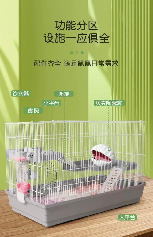 金丝熊的笼子要多大才够用?金丝熊笼子多久换一次