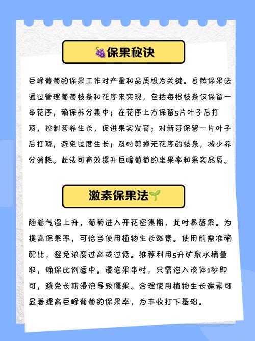 葡萄怎样防止鸟吃?葡萄成熟时怎样防鸟吃