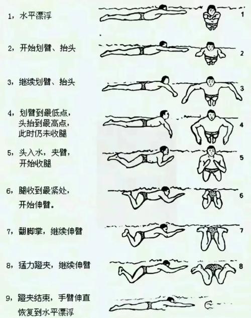 怎么能提高蛙泳的速度？如何提高蛙泳的速度