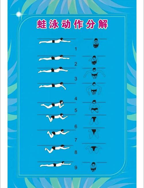 怎么能提高蛙泳的速度?如何提高蛙泳的速度