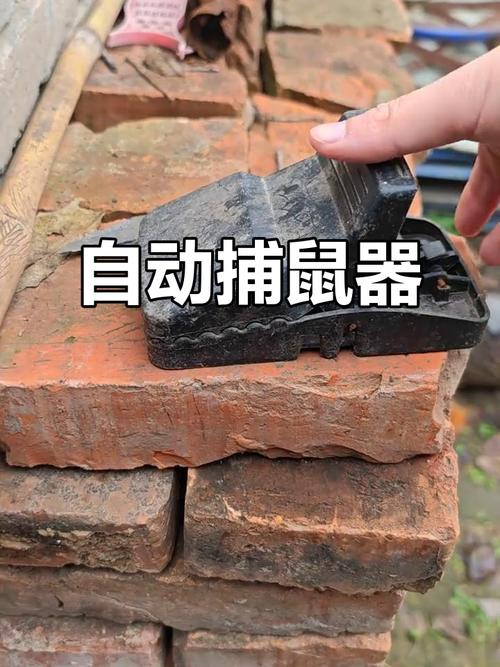 如何打开老鼠夹子?老鼠夹怎么弄开